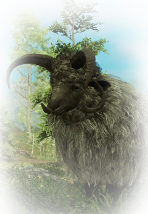Ikona dla przedmiotu "Owca"